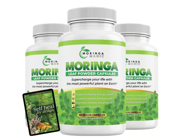 Moringa Magic Tea